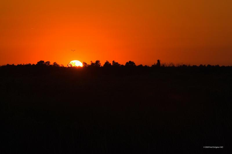 20090220_181552 D3 P1 5100x3400 srgb.jpg - Loxahatchee National Wildlife Preserve